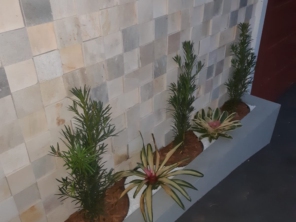 Foto de Aguiar Jardinagem Paisagismo e Grama em Botucatu, SP por Solutudo
