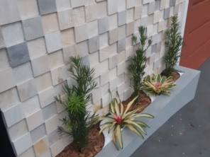 Foto de Aguiar Jardinagem Paisagismo e Grama em Botucatu, SP por Solutudo