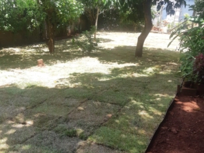 Foto de Aguiar Jardinagem Paisagismo e Grama em Botucatu, SP por Solutudo