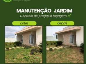 Foto de Aguiar Jardinagem Paisagismo e Grama em Botucatu, SP por Solutudo