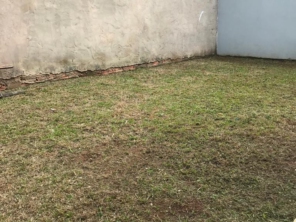 Foto de Aguiar Jardinagem Paisagismo e Grama em Botucatu, SP por Solutudo