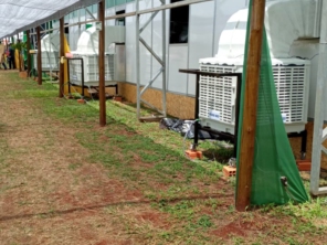 Foto de Clima Vip Climatizadores em Cambará, PR por Solutudo