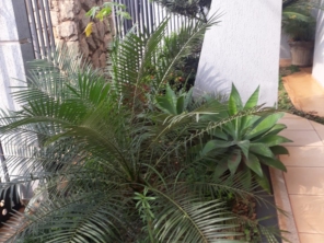 Foto de Terra Verde em Ourinhos, SP por Solutudo