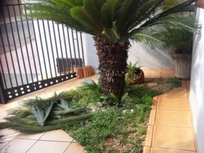 Foto de Terra Verde em Ourinhos, SP por Solutudo