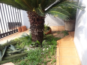 Foto de Terra Verde em Ourinhos, SP por Solutudo