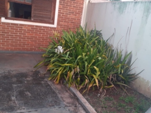 Foto de Terra Verde em Ourinhos, SP por Solutudo