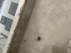 Foto de Luzilex em Almirante Tamandaré, PR por Solutudo