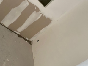 Foto de Luzilex em Almirante Tamandaré, PR por Solutudo