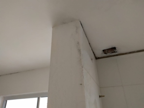 Foto de Luzilex em Almirante Tamandaré, PR por Solutudo