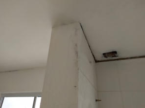 Foto de Luzilex em Almirante Tamandaré, PR por Solutudo