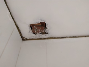 Foto de Luzilex em Almirante Tamandaré, PR por Solutudo