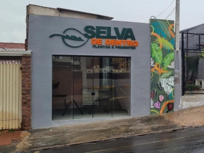 Foto de Selva de Dentro em Botucatu, SP por Solutudo