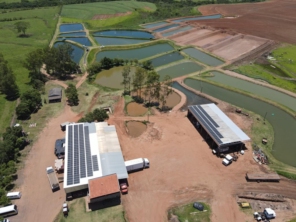 Foto de BRAenergy Energia Solar Fotovoltaica em Mirandópolis, SP por Solutudo