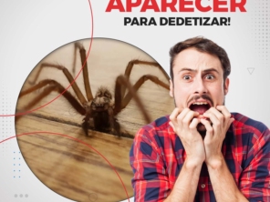 Foto de Deslim desentupidora em Pato Branco, PR por Solutudo