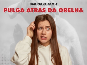 Foto de Deslim desentupidora em Pato Branco, PR por Solutudo