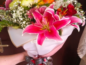 Foto galeria da empresa