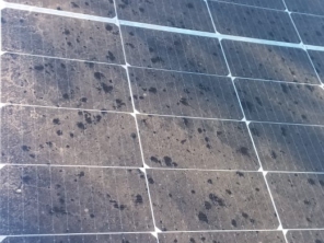 Foto de Ideia do Sol Canoas em Canoas, RS por Solutudo