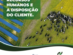 Foto de Novatec Energia, Segurança e Automação em Várzea Grande, MT por Solutudo