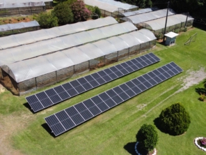 Foto de YANG Energia Solar e Mobilidade em Marau, RS por Solutudo