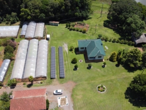 Foto de YANG Energia Solar e Mobilidade em Marau, RS por Solutudo