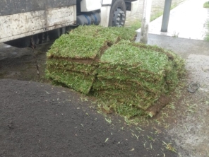 Foto de Grameira Rocha em Matinhos, PR por Solutudo