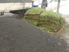 Foto de Grameira Rocha em Matinhos, PR por Solutudo