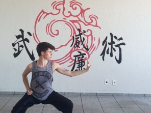 Associação Wei Lian de Kung Fu Wushu