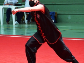 Associação Wei Lian de Kung Fu Wushu