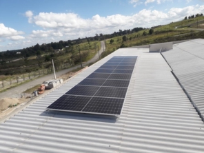 Foto galeria da empresa