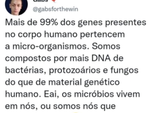 Foto de Gabs Nutrição em Lençóis Paulista, SP por Solutudo