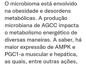 Foto de Gabs Nutrição em Lençóis Paulista, SP por Solutudo