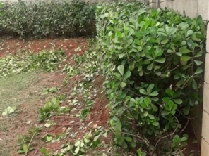 Foto de ND Manutenções em Bauru, SP por Solutudo