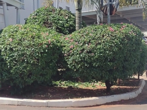 Foto de ND Manutenções em Bauru, SP por Solutudo