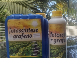Foto de Vieiras garden em Ibiúna, SP por Solutudo