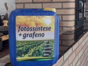 Foto de Vieiras garden em Ibiúna, SP por Solutudo