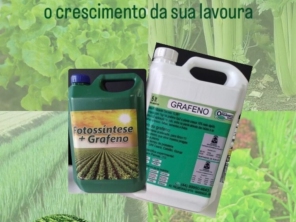 Foto de Vieiras garden em Ibiúna, SP por Solutudo