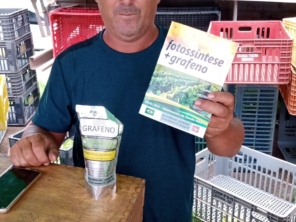 Foto de Vieiras garden em Ibiúna, SP por Solutudo