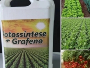 Foto de Vieiras garden em Ibiúna, SP por Solutudo