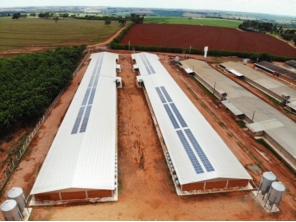 Foto de Poloni Solar em São José do Rio Preto, SP por Solutudo