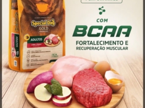 Foto de Central Pets em Avaré, SP por Solutudo