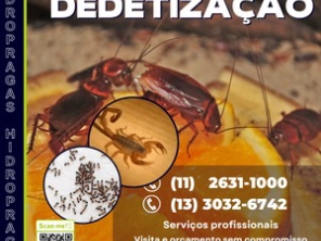 Foto de Hidro Pragas Dedetizadora e Desentupidora em Praia Grande, SP por Solutudo