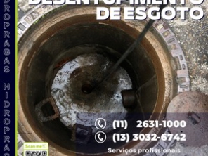 Foto de Hidro Pragas Dedetizadora e Desentupidora em Praia Grande, SP por Solutudo
