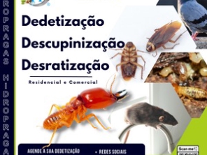 Foto de Hidro Pragas Dedetizadora e Desentupidora em Praia Grande, SP por Solutudo