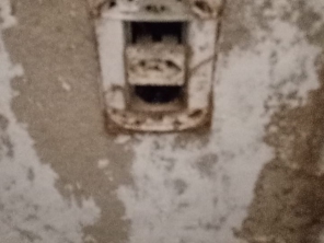 Foto de Hidro Pragas Dedetizadora e Desentupidora em Praia Grande, SP por Solutudo