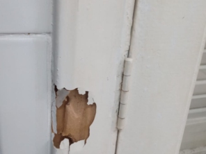 Foto de Hidro Pragas Dedetizadora e Desentupidora em Praia Grande, SP por Solutudo