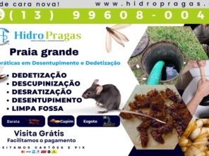 Foto de Hidro Pragas Dedetizadora e Desentupidora em Praia Grande, SP por Solutudo