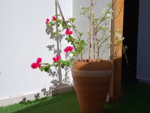 Foto de Rodrigo e Ariadna - Terapeutas Holísticos em Jundiaí, SP por Solutudo