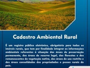 Foto de LT Geo Topografia em Goianésia, GO por Solutudo