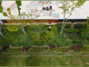 Foto de Plantar Grande em Botucatu, SP por Solutudo