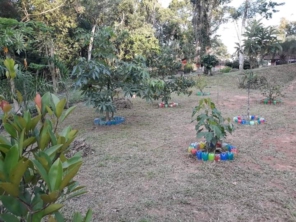 Foto de Sara Kali Floricultura em Botucatu, SP por Solutudo